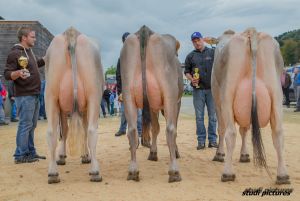 Podest Tagessiegerinnen - Jongleur Janka Blooming Fantasy und Tau Tamy alle WTS Genetics